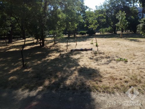 На Куликовом поле нашли труп мужчины На Куликовом поле нашли труп мужчины