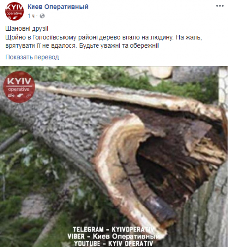 В Киеве на Голосеевской дерево убило человека В Киеве на Голосеевской дерево убило человека