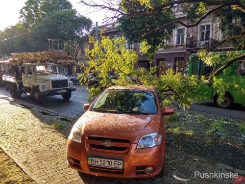 Неприятности на Бунина: здесь рухнула ветка на автомобиль и произошел пожар Неприятности на Бунина: здесь рухнула ветка на автомобиль и произошел пожар