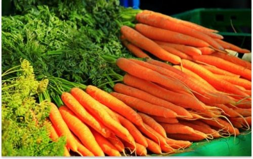 � ������� ������������ ������ ���� �� ����������