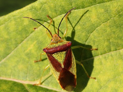 �� ������ � � ����� ������ ��������� ���� ��������� ������