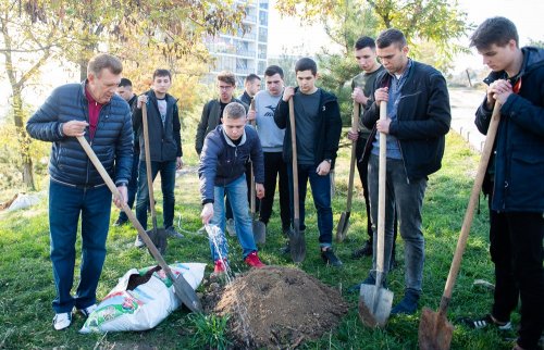 �������� �������� ���������� ������� ��������� �� ��������������� ���������