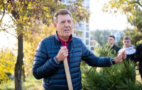 �������� �������� ���������� ������� ��������� �� ��������������� ���������