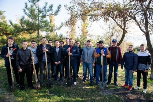 �������� �������� ���������� ������� ��������� �� ��������������� ���������