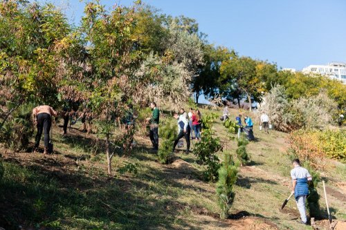 �������� �������� ���������� ������� ��������� �� ��������������� ���������