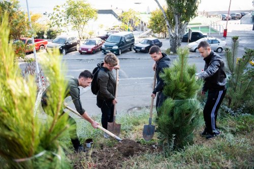 �������� �������� ���������� ������� ��������� �� ��������������� ���������