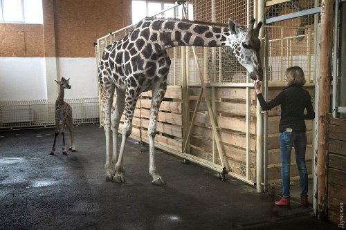 � �������� �������� ������� ��������� ������� ����