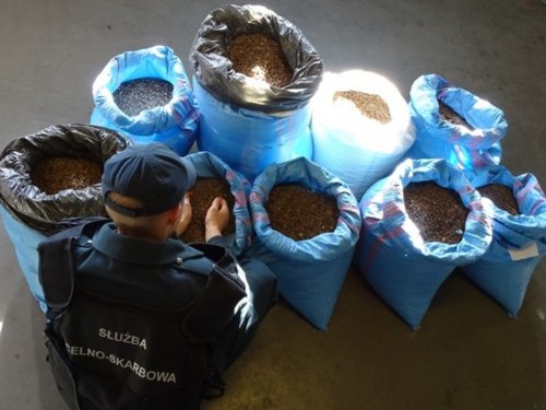 В Польше задержан украинец с крупной партией янтаря В Польше задержан украинец с крупной партией янтаря