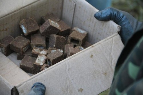 В Запорожской области началась кампания массовой вакцинации диких животных от бешенства В Запорожской области началась кампания массовой вакцинации диких животных от бешенства