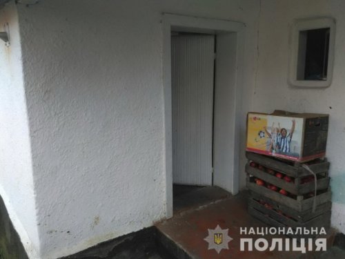 Поленом по голове: на Закарпатье женщина убила своего мужа Поленом по голове: на Закарпатье женщина убила своего мужа