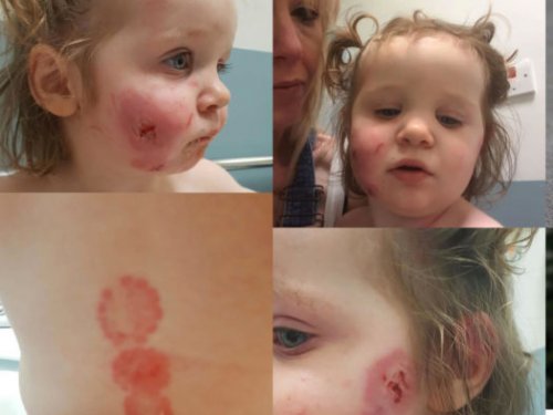 ��������� �������� ������� �������� ���� � �������� ������ (����)