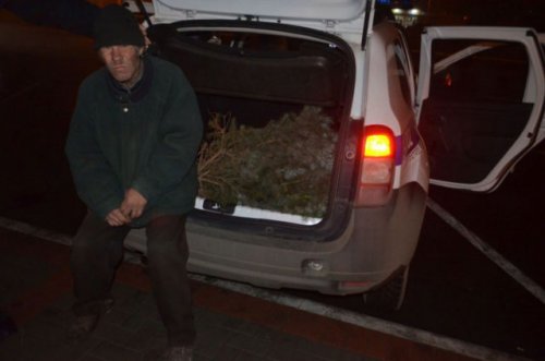 ������� ���� ����������: � ������� ����� ����� ������ ������ ������� ��� (����)