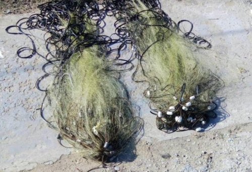 Под Одессой за один день браконьеры выловили рыбы на 8 тысяч гривен (фото) Под Одессой за один день браконьеры выловили рыбы на 8 тысяч гривен (фото)