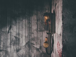 ����� - ����������� ����������� � ������������ ����������