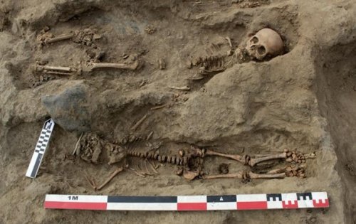 В Перу обнаружили 227 детей, принесенных в жертву В Перу обнаружили 227 детей, принесенных в жертву