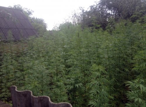 В Житомирской области правоохранители обнаружили подпольный склад наркоторговцев В Житомирской области правоохранители обнаружили подпольный склад наркоторговцев