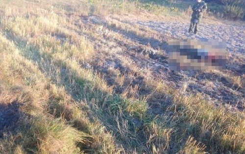 В Житомирской области пенсионер погиб от взрыва снаряда времен ВОВ В Житомирской области пенсионер погиб от взрыва снаряда времен ВОВ