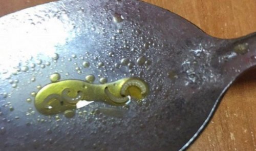 В Одесской школе в супе, которым неделю кормили детей, обнаружили червей В Одесской школе в супе, которым неделю кормили детей, обнаружили червей