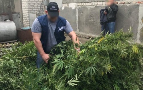 В Херсонской области отец полицейского организовал наркобизнес В Херсонской области отец полицейского организовал наркобизнес