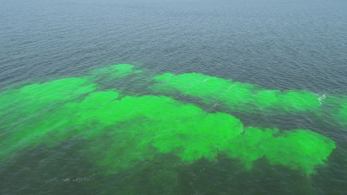 �������: ���� ������ ���������� ������� ������������