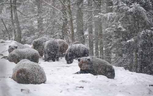 � �������� ������� �� ����� ������ ��-�� �������� ������ ����