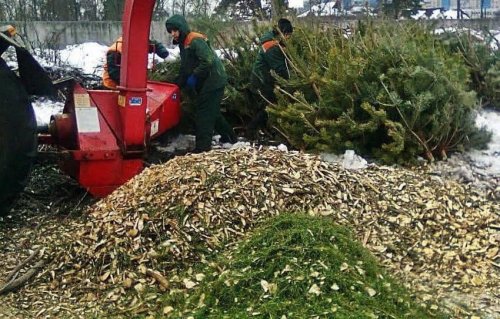 �������� ����� ���������� ���� ������� ���� ����� ����������