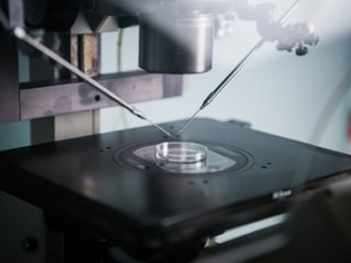 ������� �������� ��������� ��� ������ ���