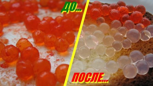 ������� ���� - ��� ����������� � ��� ������ ������������