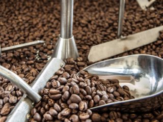 ������� �������� ����