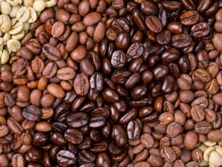 ������� ������� ����