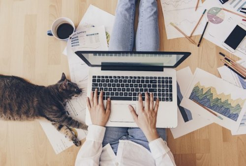 62% ���������� �������� ������ � �������� �� ��������� ������