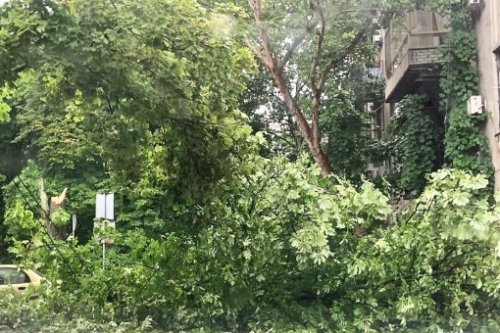 �� 12 ����� ��� ������������� �������� ��������� 92 �� 111 ������� ��������