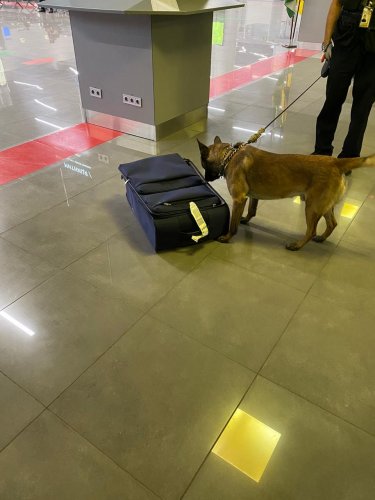 � �������� ������������ ����� ������ ����