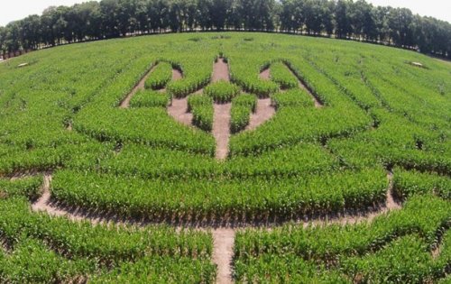 �������� ����. ������� ����� ������ �����, ���� ����� ���� �������� � 1 ����