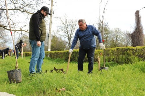 ��������� �����: �� ���������� �������� ������� ������ ���������� ���