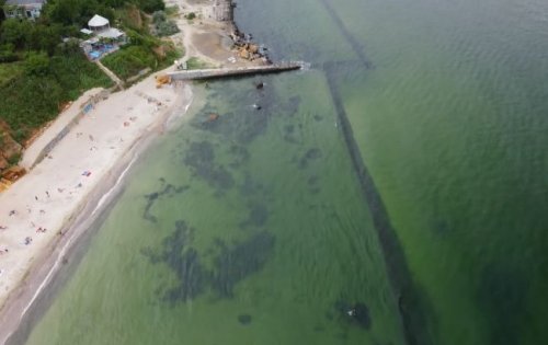 Стало "зеленым": в Одессе "зацвело" море из-за мусора Стало "зеленым": в Одессе "зацвело" море из-за мусора