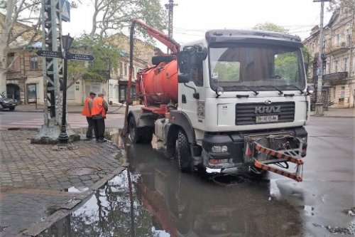 Ливни и сильный ветер привели к падению 26 деревьев Ливни и сильный ветер привели к падению 26 деревьев