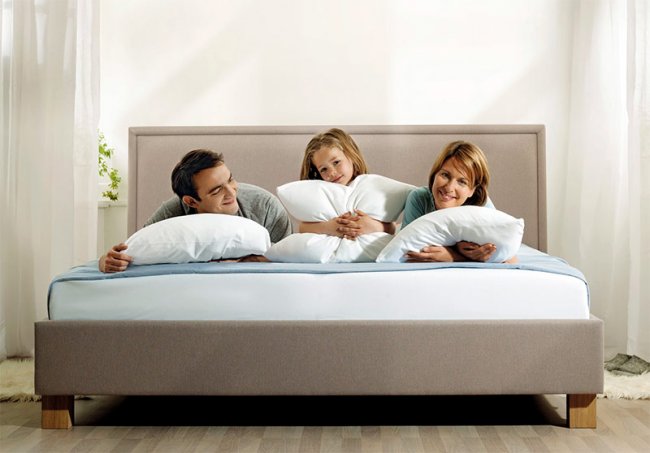 ������ ���� �� �������� �������