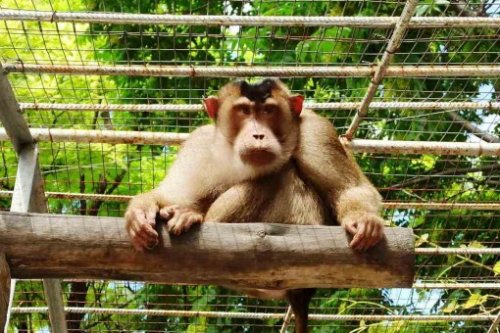 � �������� �������� �������� ����� ��� ��������