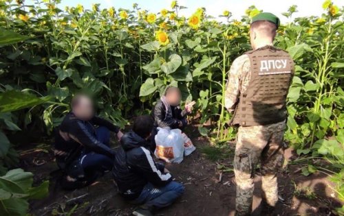 � ����������� ������� ��������������� ��������� "������������ �����������"