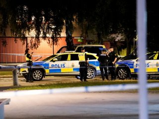 � ������ ������� �� 14 ��� ����� ������������