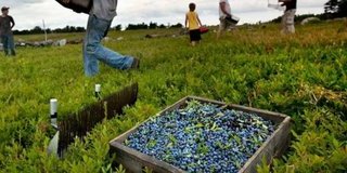 ������� ����� ����� � ������� ���������