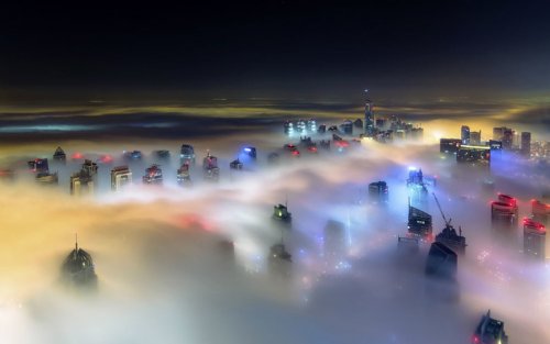 ���������� ������ �����������: ������ ���� �����