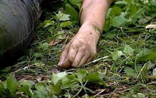 ��������� ����� ����������: � �������� ������� ������� �������� � �����