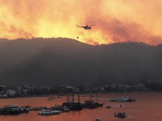 ���������� ����� �� ���� ���� �� ������ ������ � ������