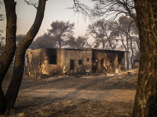 ������ � ������ ���������� ����� 100 �����