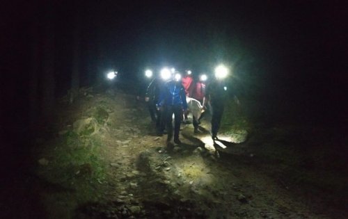 � �������� � ���������� ������ ������� ���� ��������