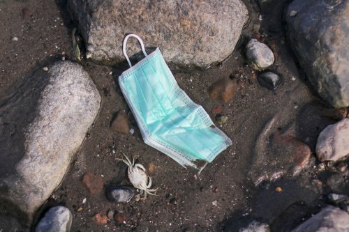 ���� 10 ��������� ����: ������� ��������� �������������� �����