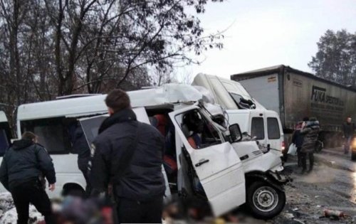 ����������� ��� �� ������������: ����� �������� ������� �� 12 �������