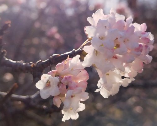 �������� ���� ����� ����. � �������� ������� ������� ������: ����